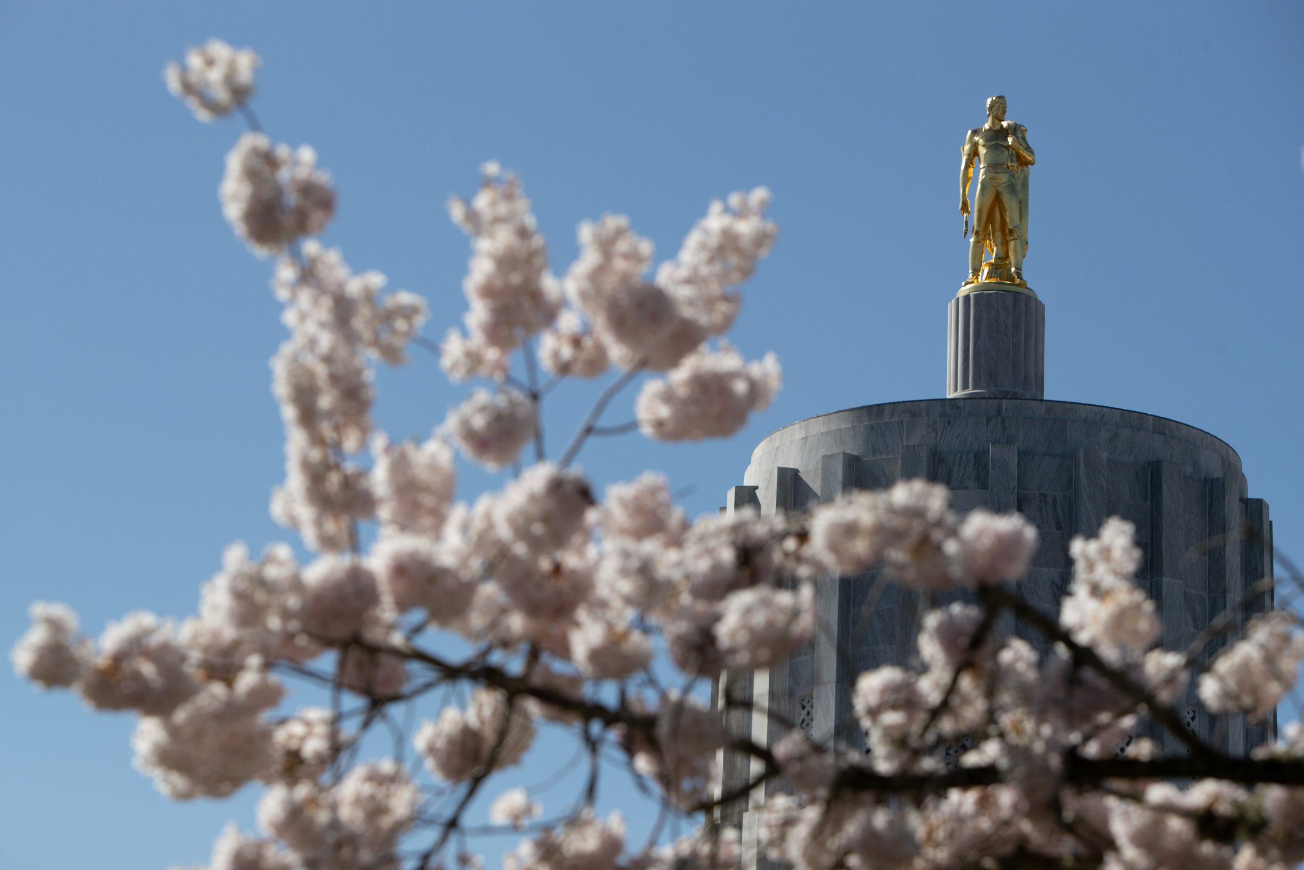 Oregon Tax Credit Kicker