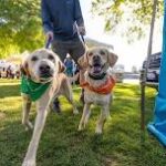 2026 Doggie Dash Salem
