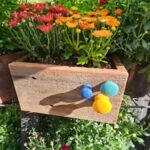 Make a Rudy Box with Flowers, Herbs or Indoor Plants