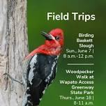 Birding Baskett Slough
