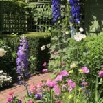 Gaiety Hollow Open Garden