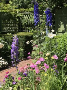 Gaiety Hollow Open Garden