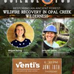 Restoring an Ancient Forest: Wildfire Recovery in Opal Creek Wilderness