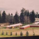 Fairview Reunion Potluck Picnic