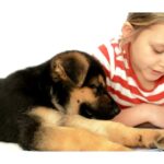 Read to a Pet